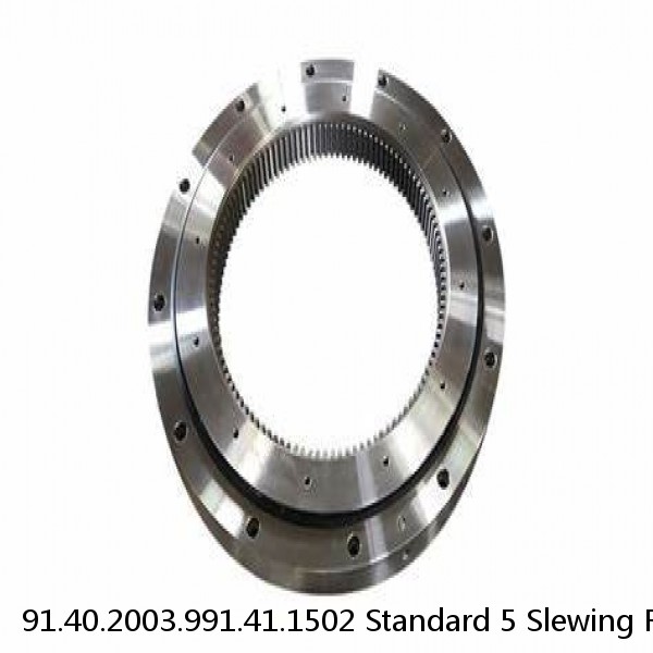 91.40.2003.991.41.1502 Standard 5 Slewing Ring Bearings #1 small image
