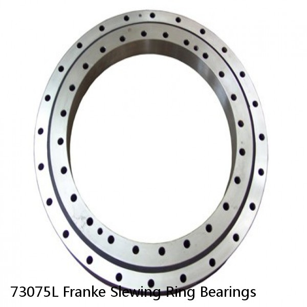 73075L Franke Slewing Ring Bearings #1 image