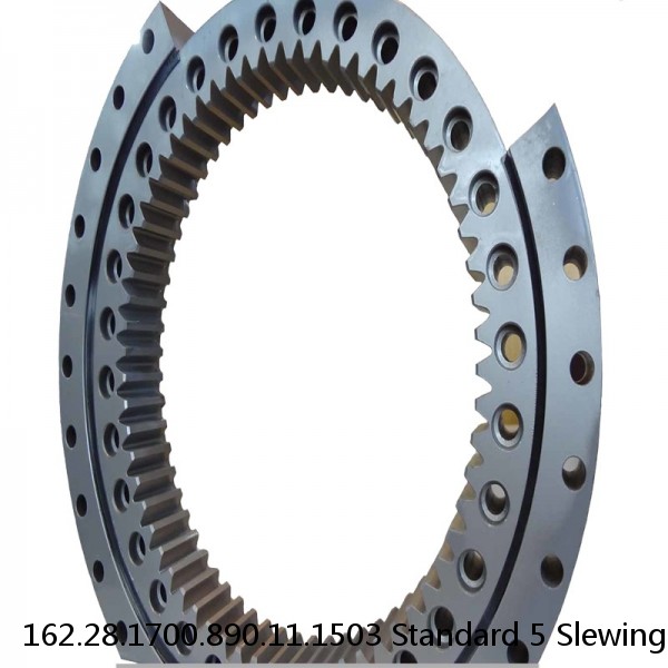 162.28.1700.890.11.1503 Standard 5 Slewing Ring Bearings #1 image