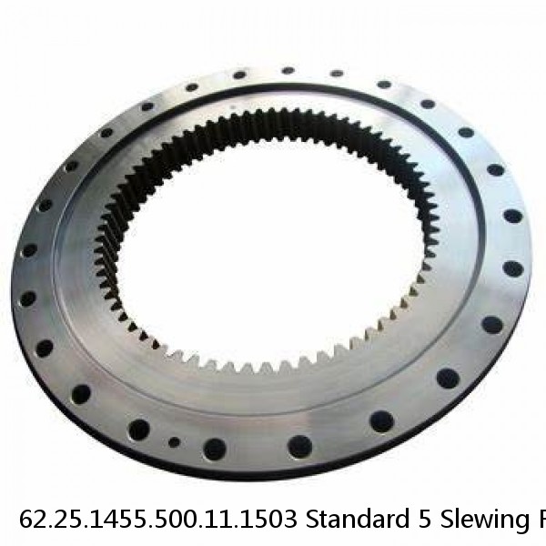 62.25.1455.500.11.1503 Standard 5 Slewing Ring Bearings #1 image