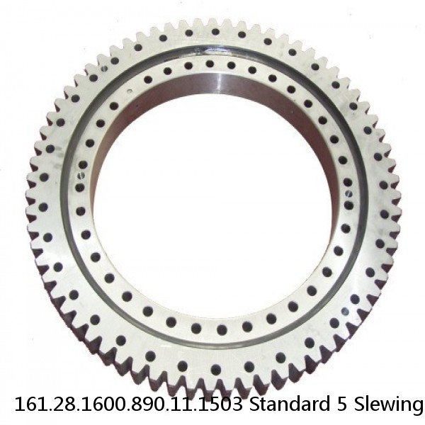 161.28.1600.890.11.1503 Standard 5 Slewing Ring Bearings #1 image