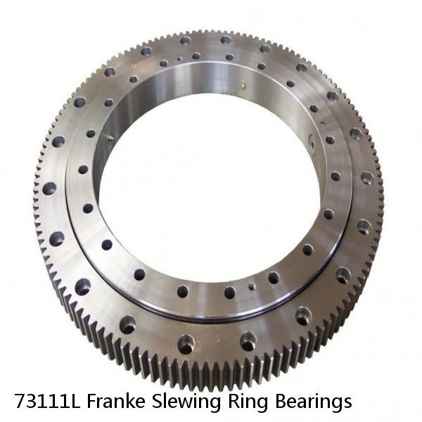 73111L Franke Slewing Ring Bearings #1 image