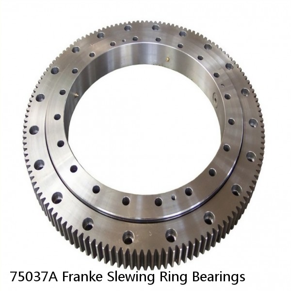 75037A Franke Slewing Ring Bearings #1 image